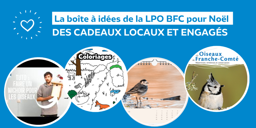 Les idées cadeaux de Noël de la LPO BFC